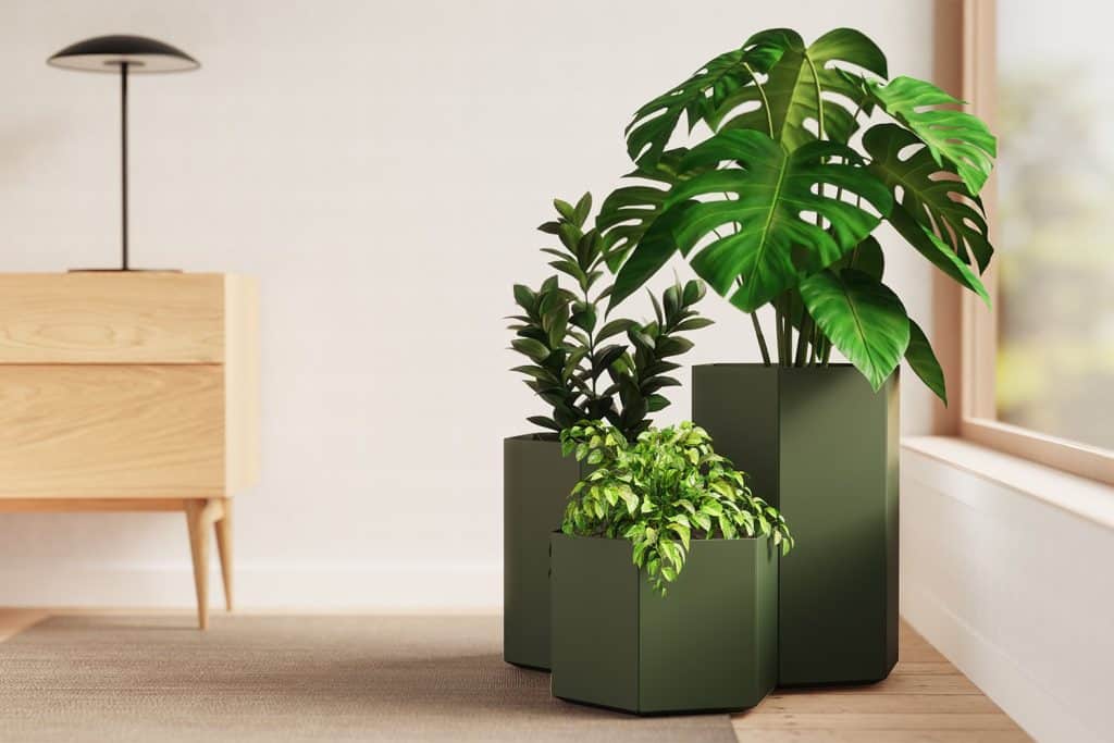 The image shows office planters placed right next to a window