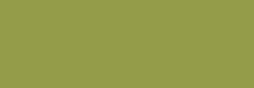Kiwi Kiwi